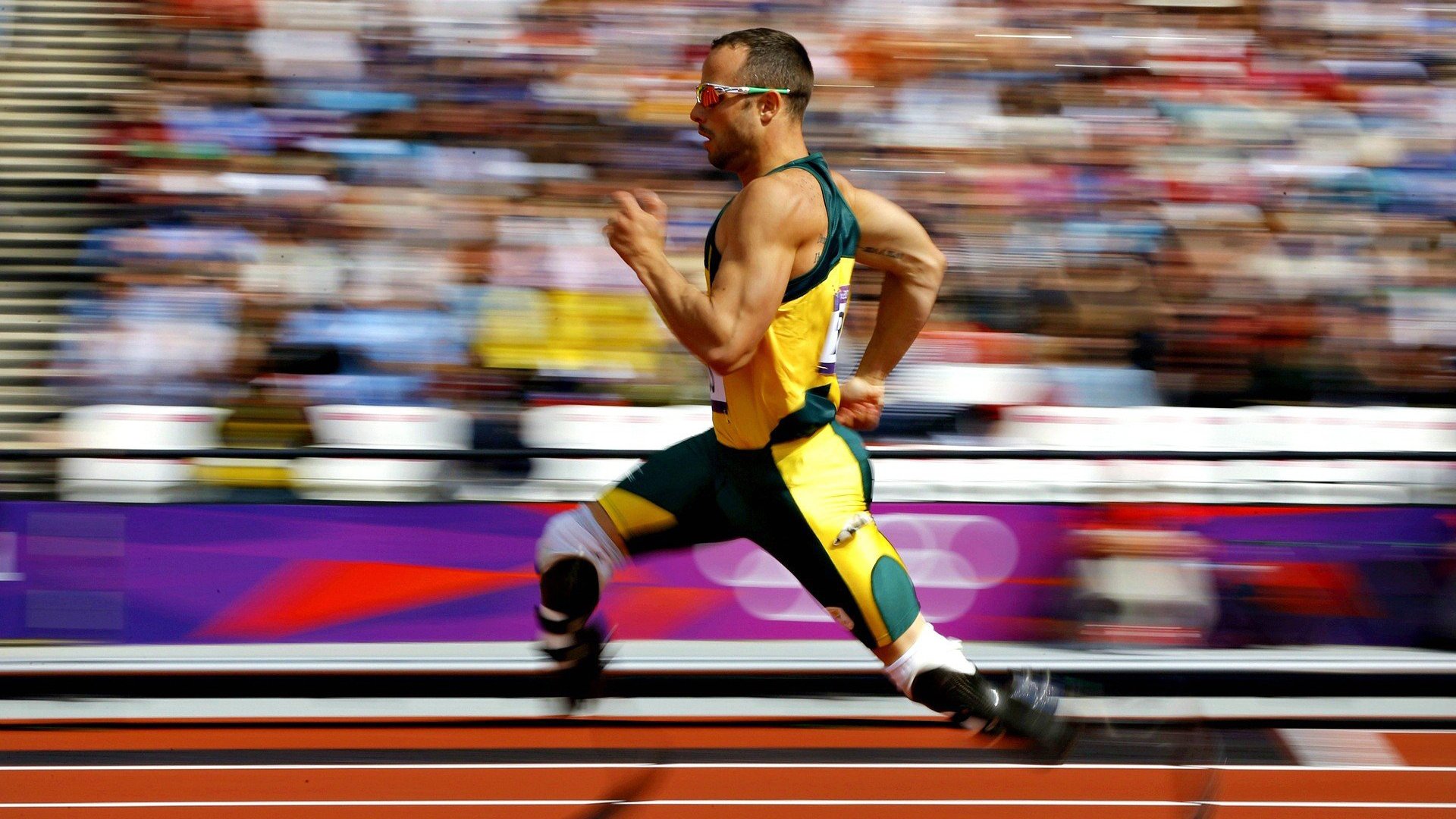 体育新闻中心推动体育内容版权多平台共享机制,体育新闻侵权