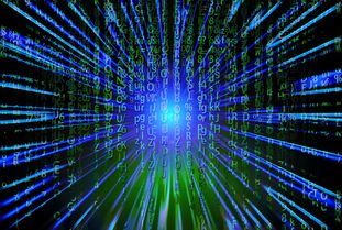 乐鱼app-新加坡队未来之路：如何在全球乒乓赛事中争夺更多荣誉，新加坡乒乓球厉害吗